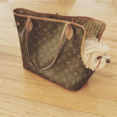 louis vuitton dog carrier dupe